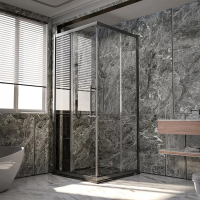 Душевой уголок Veconi Premium Trento PTC-20GR 110x90, профиль брашированный графит, стекло прозрачное