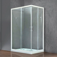 Душевой уголок Royal Bath HPD RB 1120 HPD-T 120x100