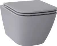 Унитаз подвесной Wellsee Pure BY Wellsee 182605001 безободковый, с микролифтом, матовый серый фото в интернет-магазине «Wasser-Haus.ru»