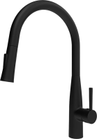 Смеситель для кухни Raiber Graceful RPB-011 черный