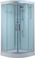 Душевая кабина Timo Standart T-6609 S профиль серебристый матовый