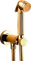 Гигиенический душ Bossini Nikita Mixer Set E37008B со смесителем, золото фото в интернет-магазине «Wasser-Haus.ru»