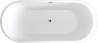 Акриловая ванна Black&White Swan SB105 170x80 фото в интернет-магазине «Wasser-Haus.ru»