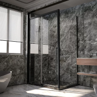 Душевой уголок Veconi Premium Trento PTC-SP-30B 120x90, профиль черный матовый, стекло прозрачное