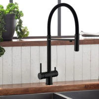 Смеситель для кухни с гибким изливом и подключением фильтра WesnaArt EKO05-160MatBlack, черный