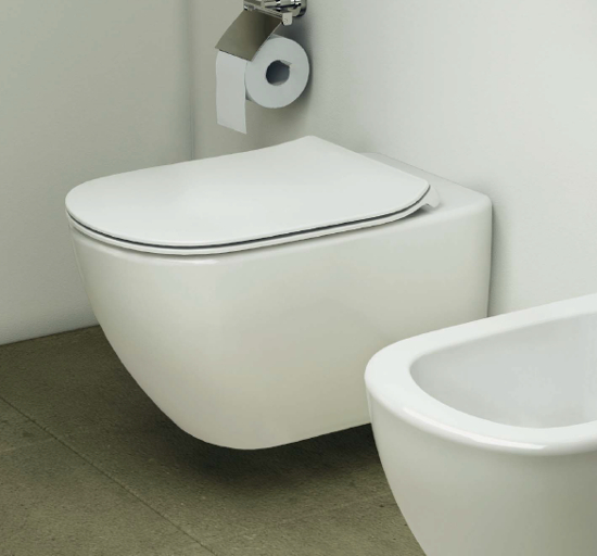 Крышка-сиденье Ideal Standard Tesi T352701 с микролифтом, петли хром фото в интернет-магазине «Wasser-Haus.ru»