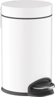 Мусорное ведро Hansgrohe AddStoris 41775700 3 л, матовый белый