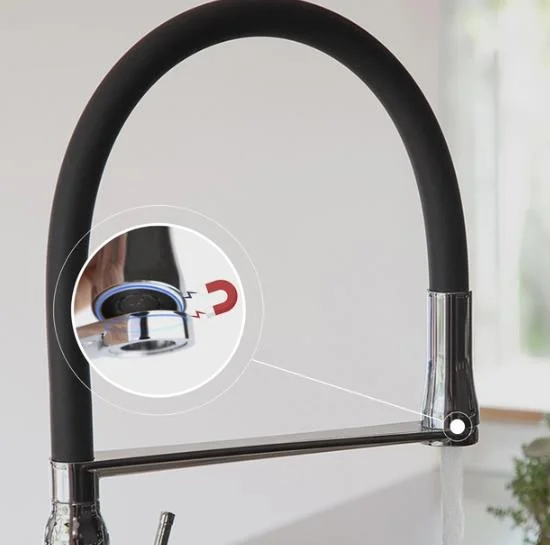 Смеситель для кухни Ramonsoler Kitchen Magnet 388801MC хром фото в интернет-магазине «Wasser-Haus.ru»