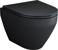 Унитаз подвесной AM.PM Spirit V2.0 FlashClean с микролифтом, черный матовый фото в интернет-магазине «Wasser-Haus.ru»