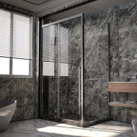 Душевой уголок Veconi Premium Trento PTC-SP-30GR 130x80, профиль брашированный графит, стекло прозрачное