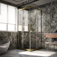 Душевой уголок Veconi Premium Trento PTC-20G 100x90, профиль брашированное золото, стекло прозрачное