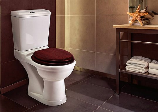 Унитаз-компакт Della Boston OAK фото в интернет-магазине «Wasser-Haus.ru»