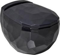 Унитаз подвесной beWash Bekinger 87303606 с сиденьем микролифт, с функцией биде черный фото в интернет-магазине «Wasser-Haus.ru»
