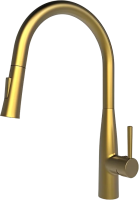 Смеситель для кухни Raiber Graceful RPG-011 золото фото в интернет-магазине «Wasser-Haus.ru»