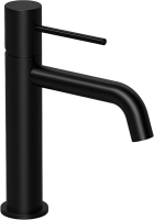 Смеситель для раковины Raiber Graceful RPB-001 черный фото в интернет-магазине «Wasser-Haus.ru»