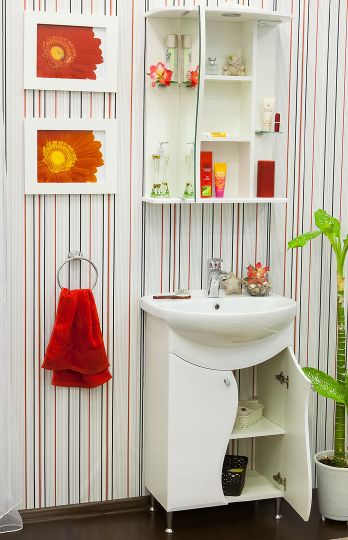Мебель для ванной Sanflor Лина 55 фото в интернет-магазине «Wasser-Haus.ru»