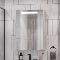 Зеркало-шкаф AQUATON Верди PRO 60 ясень фабрик фото в интернет-магазине «Wasser-Haus.ru»