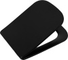 Крышка-сиденье BelBagno Ardente-C BB3202SC-MB матовая черная фото в интернет-магазине «Wasser-Haus.ru»