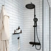 Душевая стойка IDDIS Shelfy SPABLBTi06 фото в интернет-магазине «Wasser-Haus.ru»