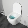 Унитаз подвесной AM.PM Like C801900SC AquaSpin с микролифтом фото в интернет-магазине «Wasser-Haus.ru»
