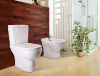 Унитаз-компакт Della Globus Super Plus фото в интернет-магазине «Wasser-Haus.ru»
