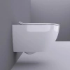 Унитаз подвесной Bond F01-10 безободковый, с микролифтом, белый фото в интернет-магазине «Wasser-Haus.ru»