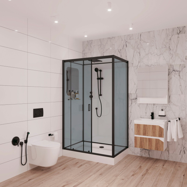 Душевая кабина Niagara Premium NG-6912-01QL BLACK 120х80х210 левая, черная фото в интернет-магазине «Wasser-Haus.ru»