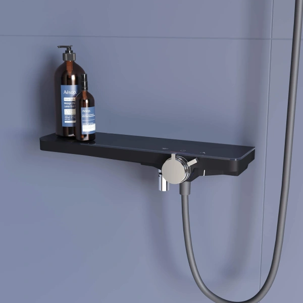Смеситель для душа RGW Shower Panels SP-40Gr серый фото в интернет-магазине «Wasser-Haus.ru»