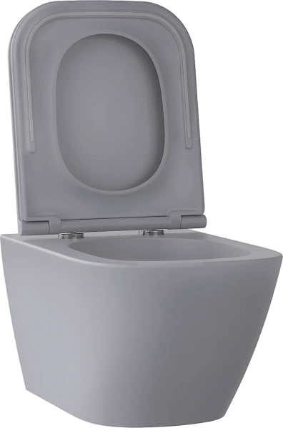 Унитаз подвесной Wellsee Pure BY Wellsee 182605001 безободковый, с микролифтом, матовый серый фото в интернет-магазине «Wasser-Haus.ru»