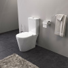 Унитаз-компакт IDDIS Calipso фото в интернет-магазине «Wasser-Haus.ru»