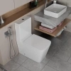 Унитаз-компакт D&K Berlin безободковый, с микролифтом фото в интернет-магазине «Wasser-Haus.ru»
