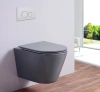 Унитаз подвесной Esbano Clavel ESUPCLAVGM серый матовый фото в интернет-магазине «Wasser-Haus.ru»