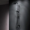 Душевая стойка AM.PM Sunny F0785C922 черный фото в интернет-магазине «Wasser-Haus.ru»