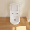 Унитаз подвесной Villeroy & Boch Antheus stone white фото в интернет-магазине «Wasser-Haus.ru»