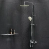 Душевая стойка AM.PM Like F0780964 фото в интернет-магазине «Wasser-Haus.ru»