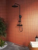 Душевая стойка VitrA AquaHeat A4720536EXP матовая черная фото в интернет-магазине «Wasser-Haus.ru»