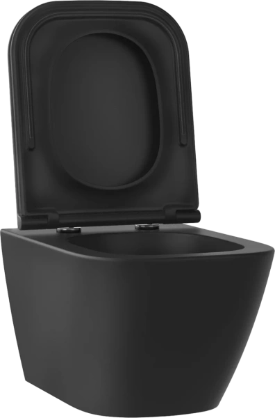 Унитаз подвесной Wellsee Pure BY Wellsee 182604001 безободковый, с микролифтом, матовый черный фото в интернет-магазине «Wasser-Haus.ru»