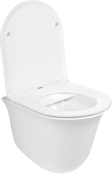 Унитаз подвесной Weltwasser WW SK Telbach 004GL-WT безободковый, с микролифтом, белый глянец фото в интернет-магазине «Wasser-Haus.ru»