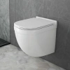 Унитаз подвесной Owl 1975 Eld TOWLT190101 безободковый фото в интернет-магазине «Wasser-Haus.ru»