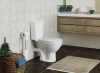 Унитаз-компакт Rosa Соло белый фото в интернет-магазине «Wasser-Haus.ru»