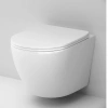 Унитаз подвесной AM.PM Like C801900SC AquaSpin с микролифтом фото в интернет-магазине «Wasser-Haus.ru»