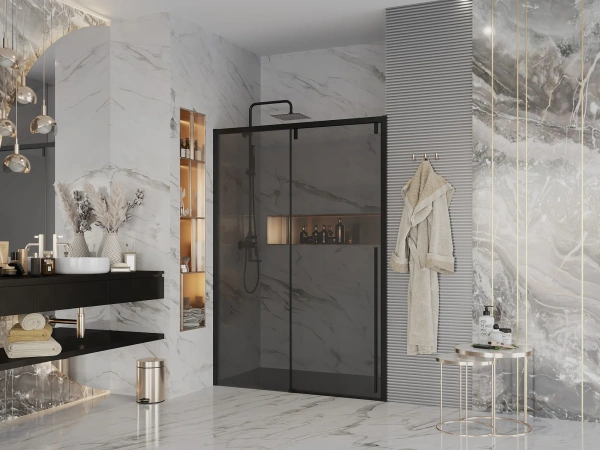 Душевая дверь в нишу Ambassador Intense 110022205IBB 160 см, профиль черный фото в интернет-магазине «Wasser-Haus.ru»