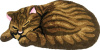 Коврик Carnation Home Fashions Sleeping Cat Brown 84 см фото в интернет-магазине «Wasser-Haus.ru»