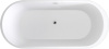 Акриловая ванна Black&White Swan SB109 black 170x80 фото в интернет-магазине «Wasser-Haus.ru»