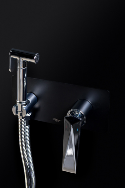 Гигиенический душ Boheme со смесителем VENTURO хром 377 фото в интернет-магазине «Wasser-Haus.ru»