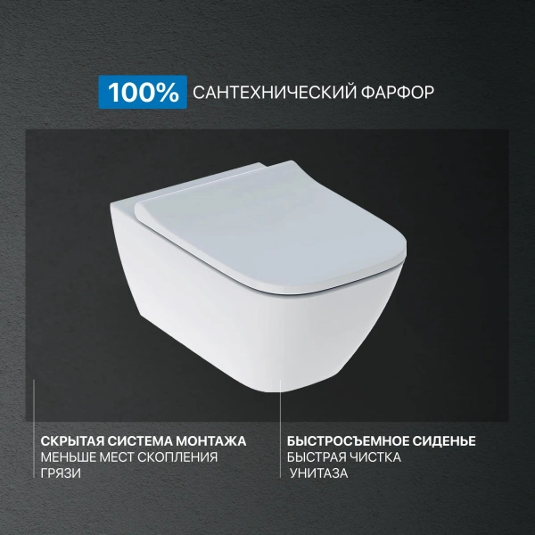 Комплект Унитаз подвесной Geberit Smyle Square 500.683.01.1 с крышкой-сиденьем с микролифтом + Инсталляция Duofix Delta 458.149.21.1 с кнопкой смыва, хром фото в интернет-магазине «Wasser-Haus.ru»