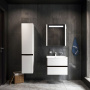 Мебель для ванной Am.Pm Bliss D 60 белый глянец, венге фото в интернет-магазине «Wasser-Haus.ru»