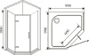 Душевой уголок Weltwasser WW900 900P1-100 фото в интернет-магазине «Wasser-Haus.ru»