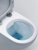 Унитаз подвесной Bond F02-10 безободковый, с микролифтом фото в интернет-магазине «Wasser-Haus.ru»