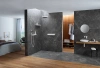 Душевой шланг Hansgrohe Isiflex 28276700 белый матовый фото в интернет-магазине «Wasser-Haus.ru»